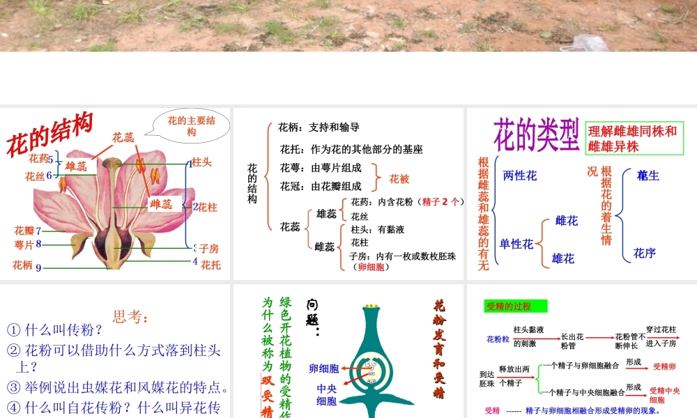 八年级生物上册 第四单元 第一章 绿色植物的一生复习课件 （新版）济南版-（新版）济南级上册生物课件