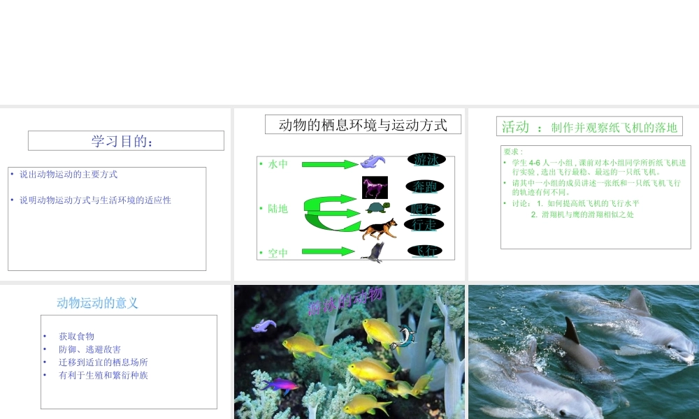 八年级生物上册《动物运动方式的多样性》课件 苏教版