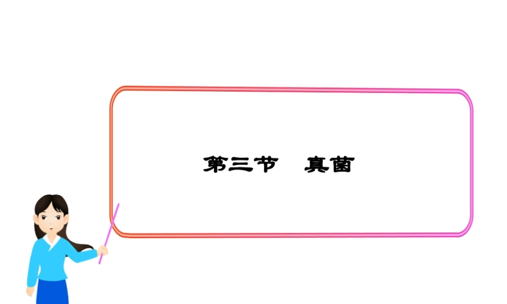 八年级生物上册 第五单元 第四章 第三节 真菌课件2 （新版）新人教版-（新版）新人教级上册生物课件