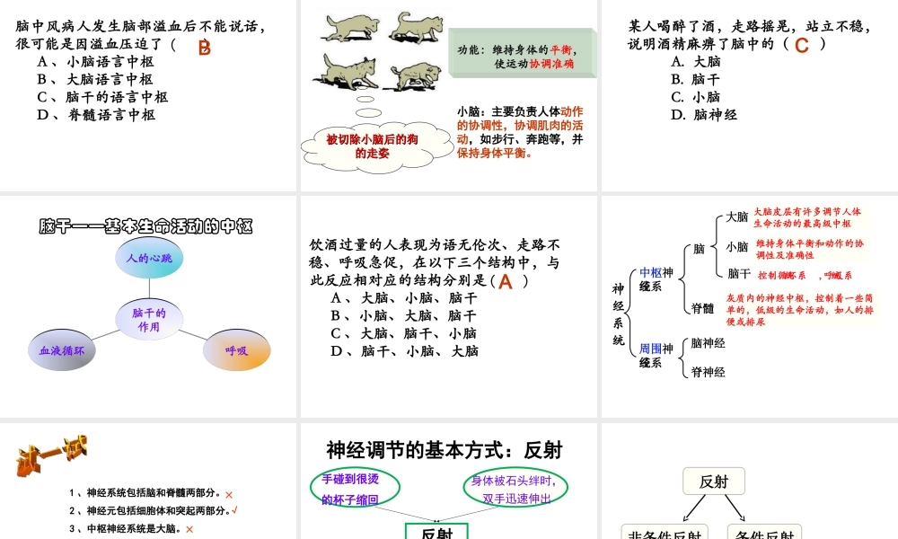 八年级生物上册 第十六章 第一节 人体的神经调节课件 苏科版