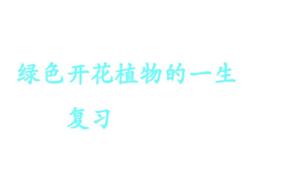 八年级生物上册 第四单元 第一章 绿色植物的一生课件 济南版