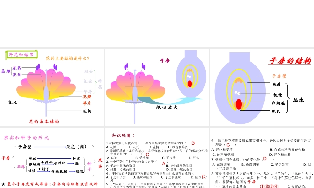 八年级生物上册 第四单元 第一章 绿色植物的一生课件 济南版