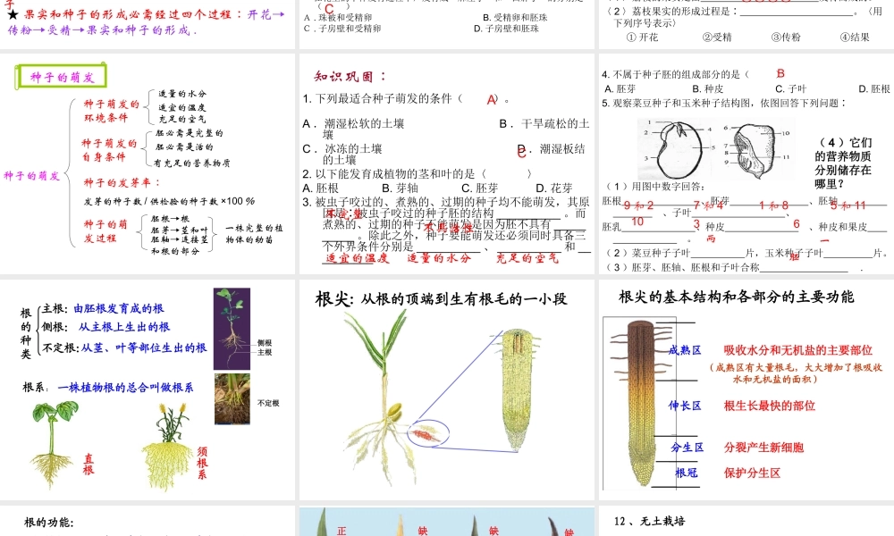 八年级生物上册 第四单元 第一章 绿色植物的一生课件 济南版