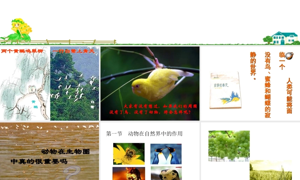 八年级生物上册《动物在生物圈中作用》课件1 北师大版