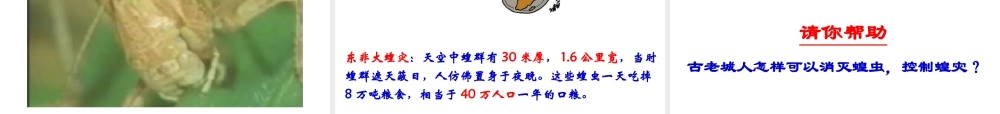 八年级生物上册《动物在生物圈中作用》课件1 北师大版