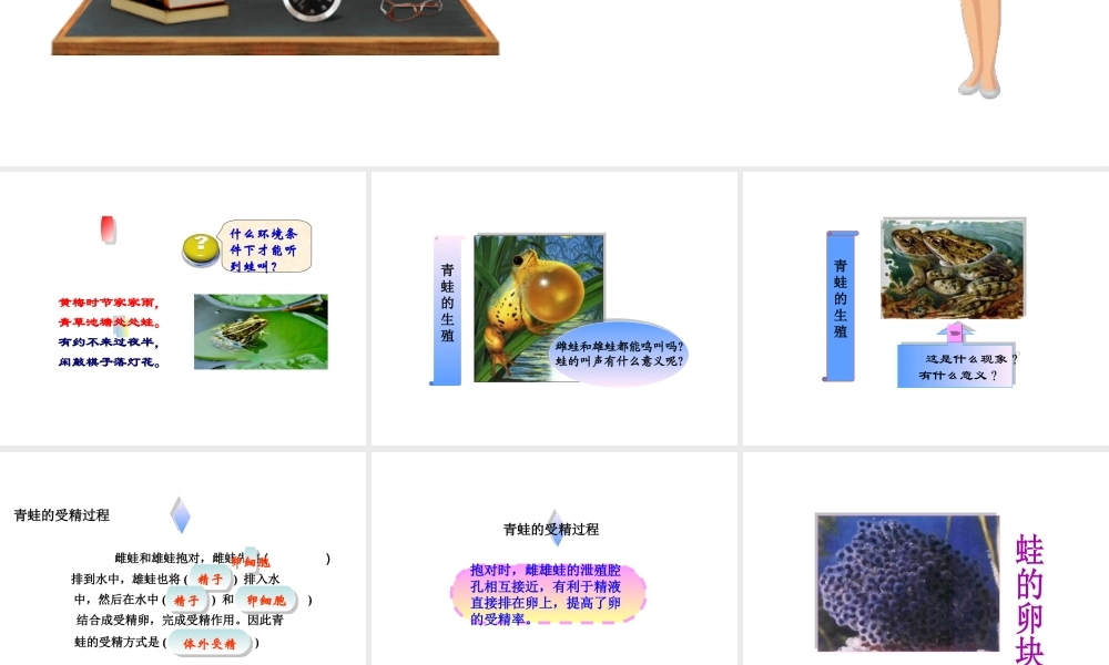 八年级生物上册 第四单元 物种的延续 第二章 动物的生殖和发育 第二节 两栖动物的生殖和发育课件（新版）济南版-（新版）济南版初中八年级上册生物课件