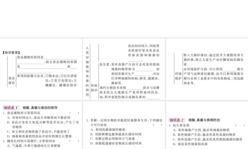 八年级生物上册 第五单元 第四章 第五节 人类对细菌和真菌的利用（第2课时 食品的保存 疾病防治和环境保护）习题课件 （新版）新人教版-（新版）新人教版初中八年级上册生物课件