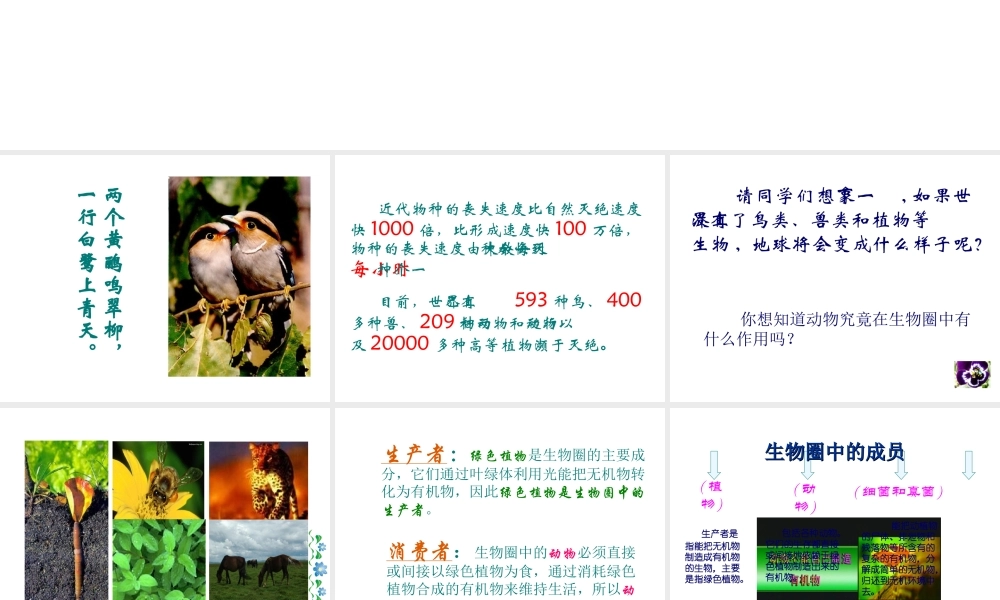 八年级生物上册《动物在生物圈中作用》课件2 北师大版