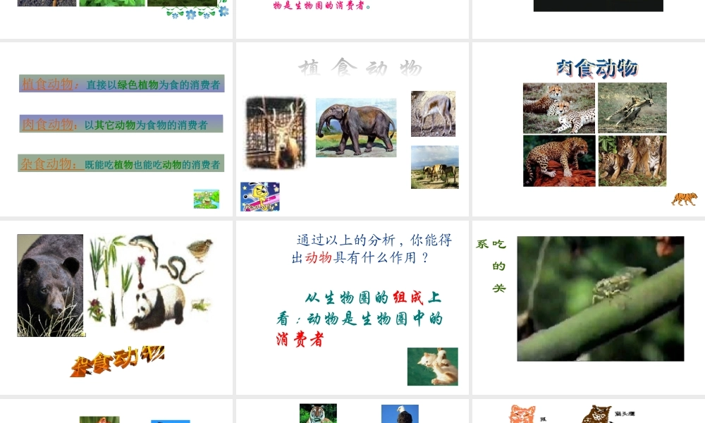 八年级生物上册《动物在生物圈中作用》课件2 北师大版