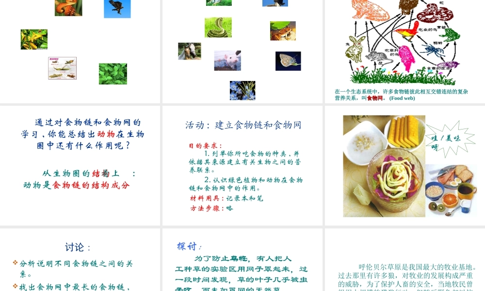 八年级生物上册《动物在生物圈中作用》课件2 北师大版