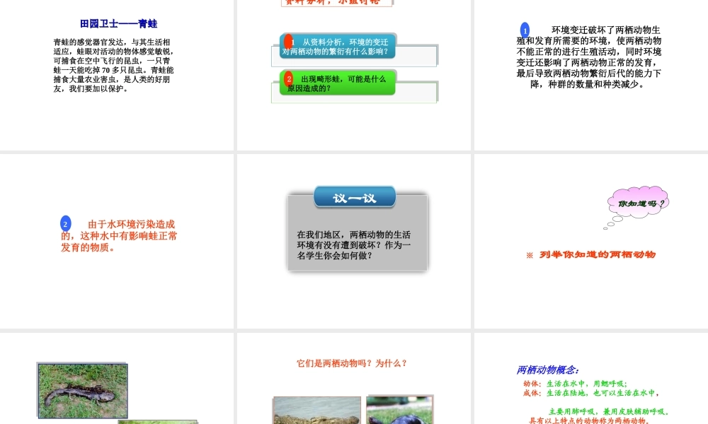 八年级生物上册 第四单元 物种的延续 第二章 动物的生殖和发育 第二节 两栖动物的生殖和发育课件（新版）济南版-（新版）济南级上册生物课件