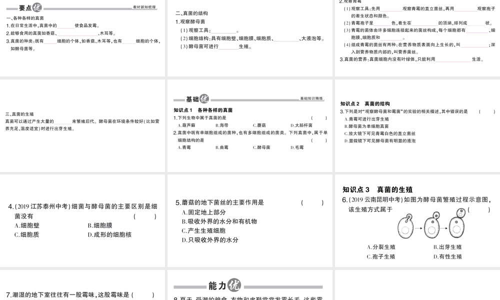 八年级生物上册 第五单元 第四章 第三节 真菌作业课件 （新版）新人教版-（新版）新人教版初中八年级上册生物课件