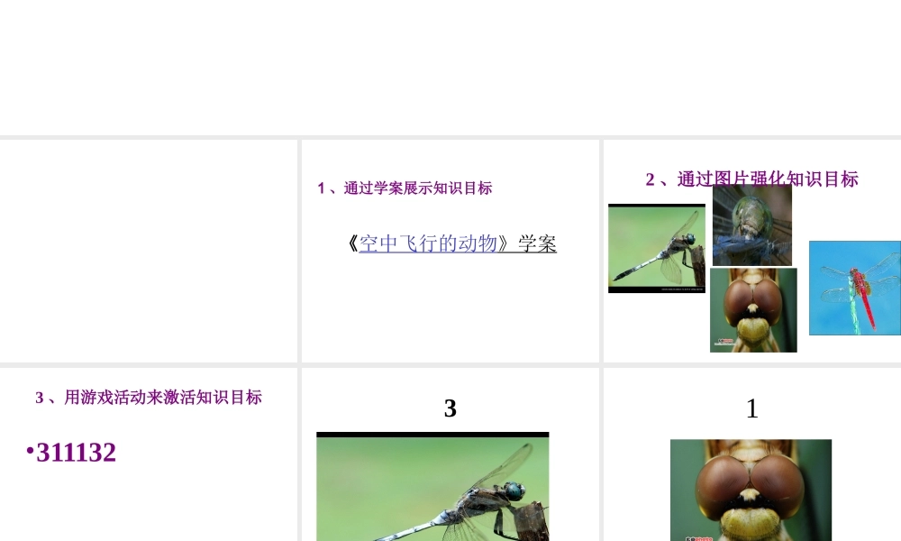 八年级生物上册《空中飞行的动物-昆虫篇》课件 新人教版