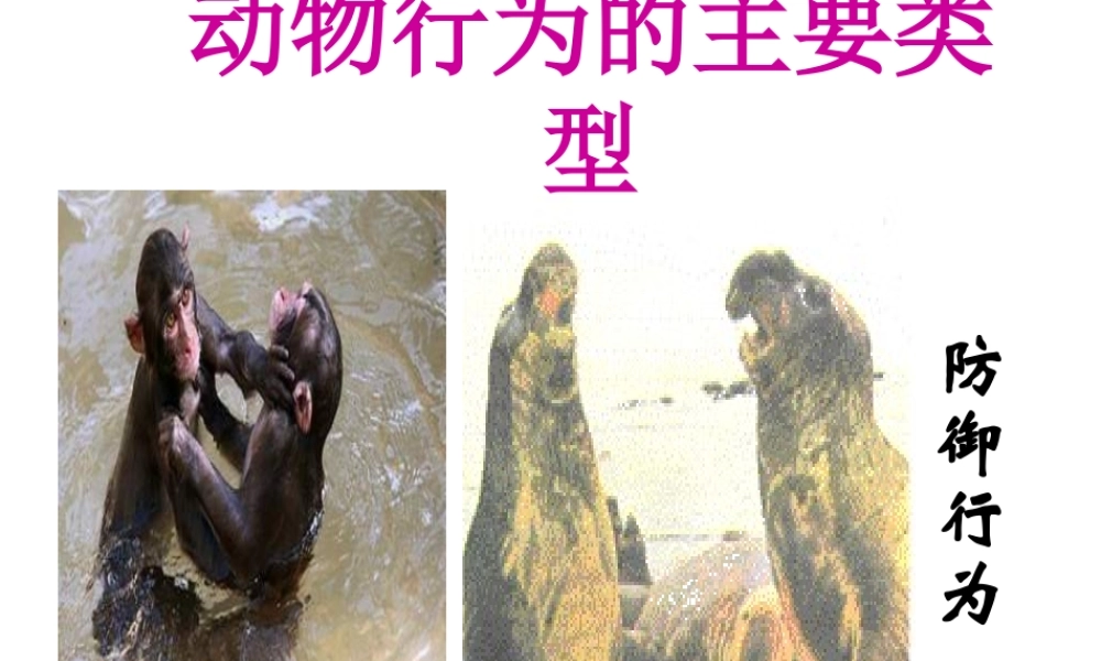 八年级生物上册 第十七章 第二节 动物行为的生理基础课件 苏教版