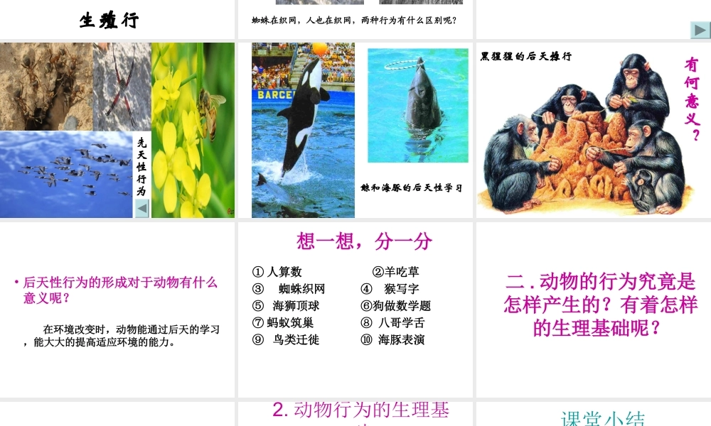 八年级生物上册 第十七章 第二节 动物行为的生理基础课件 苏教版