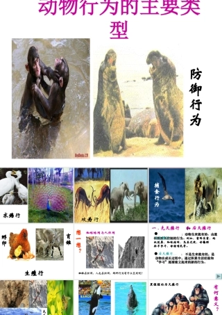 八年级生物上册 第十七章 第二节 动物行为的生理基础课件 苏教版