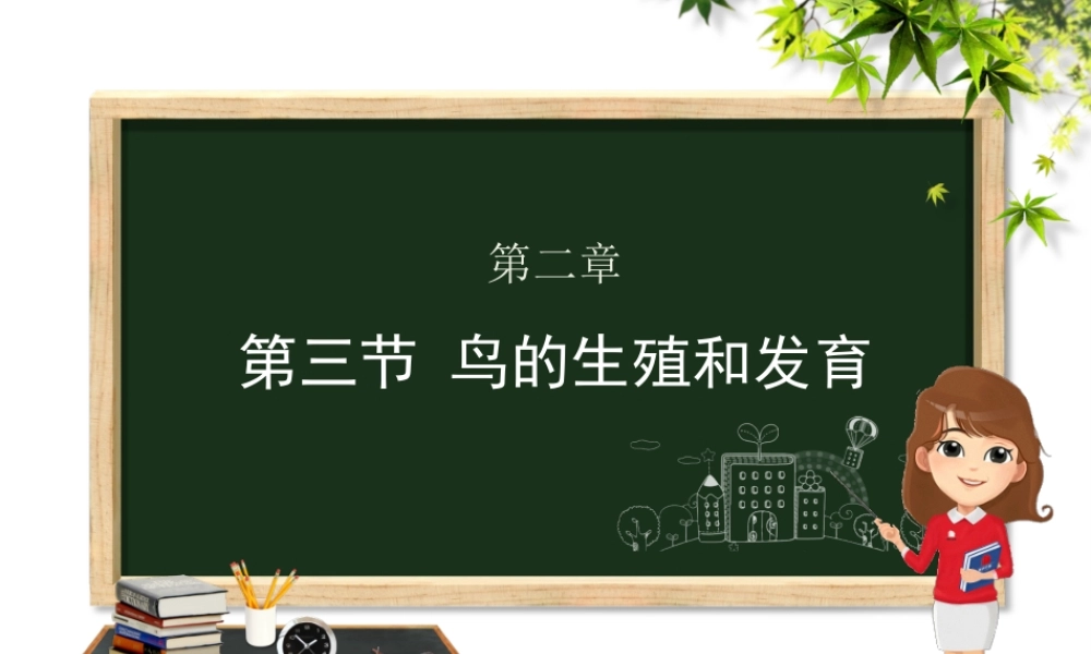 八年级生物上册 第四单元 物种的延续 第二章 动物的生殖和发育 第三节 鸟的生殖和发育课件（新版）济南版-（新版）济南版初中八年级上册生物课件