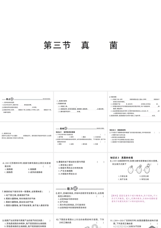八年级生物上册 第五单元 第四章 第三节 真菌作业课件 （新版）新人教版-（新版）新人教级上册生物课件
