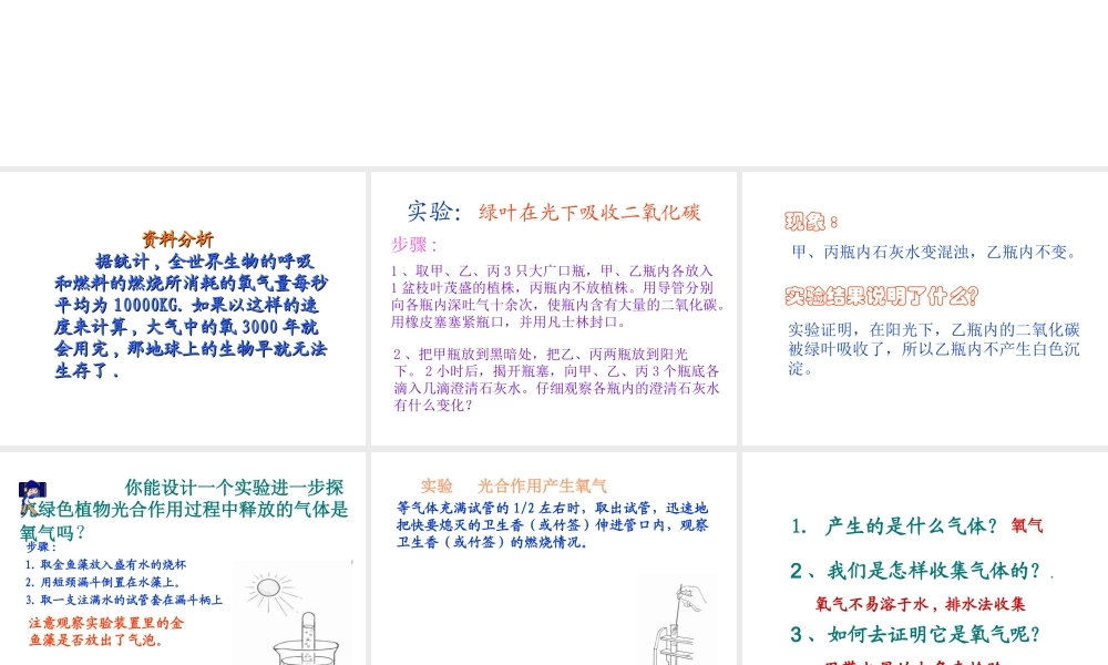 八年级生物上册《绿色植物与生物圈中的碳—氧平衡》课件1 苏科版