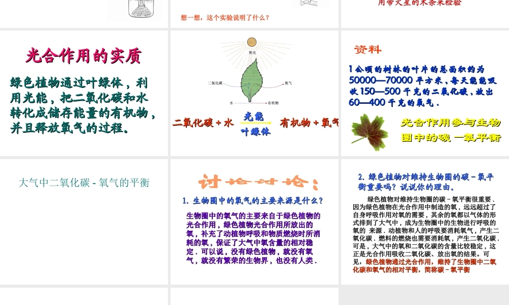 八年级生物上册《绿色植物与生物圈中的碳—氧平衡》课件1 苏科版