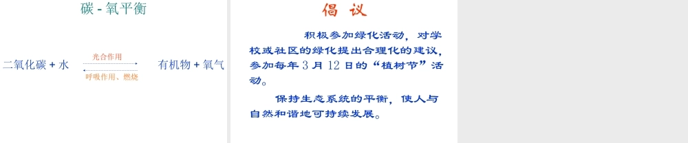 八年级生物上册《绿色植物与生物圈中的碳—氧平衡》课件1 苏科版