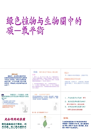 八年级生物上册《绿色植物与生物圈中的碳—氧平衡》课件1 苏科版