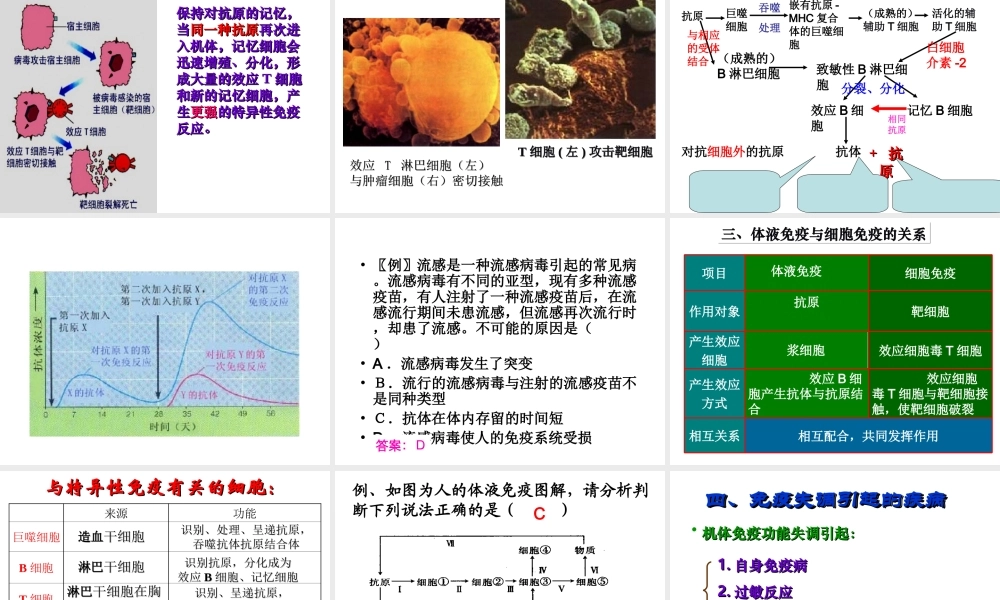 八年级生物上册《免疫》课件 北京版