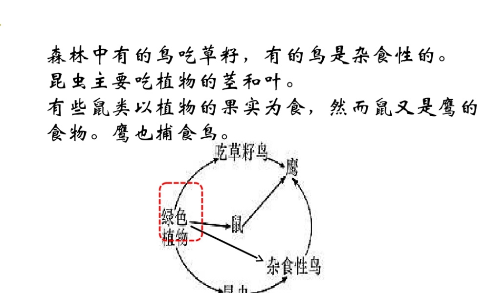 八年级生物上册 第十七章 第二节 我国的动物资源及保护课件 北师大版