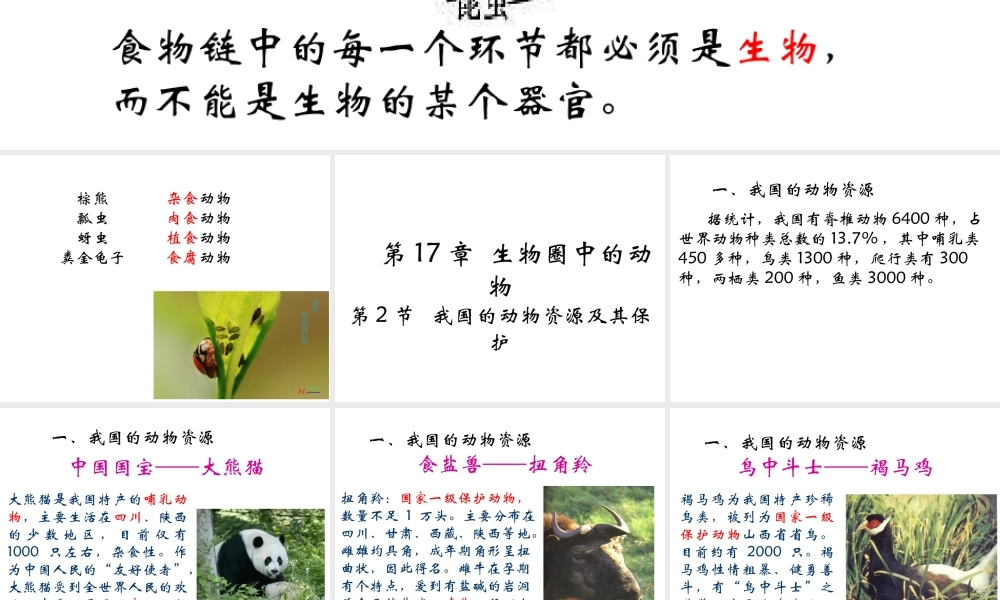 八年级生物上册 第十七章 第二节 我国的动物资源及保护课件 北师大版