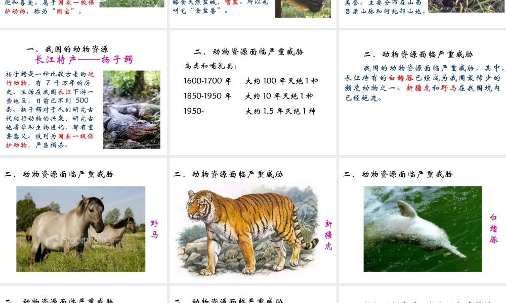 八年级生物上册 第十七章 第二节 我国的动物资源及保护课件 北师大版