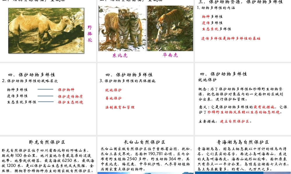 八年级生物上册 第十七章 第二节 我国的动物资源及保护课件 北师大版