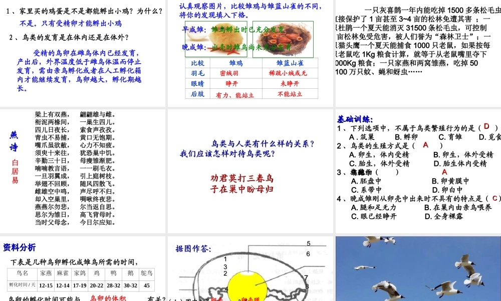 八年级生物上册 第四单元 物种的延续 第二章 动物的生殖和发育 第三节 鸟的生殖和发育课件（新版）济南版-（新版）济南级上册生物课件