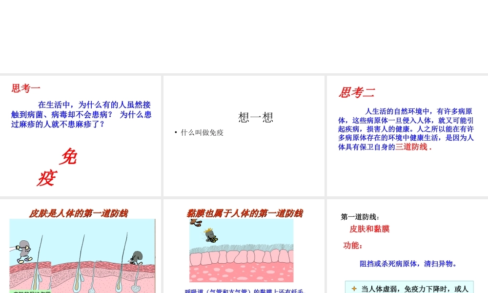 八年级生物上册《免疫》课件 苏教版