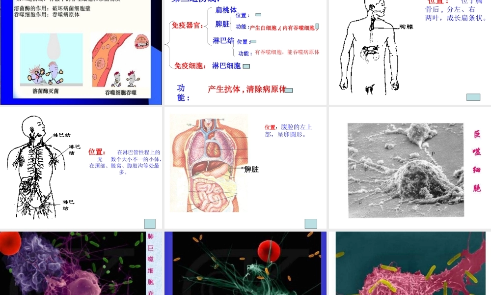 八年级生物上册《免疫》课件 苏教版