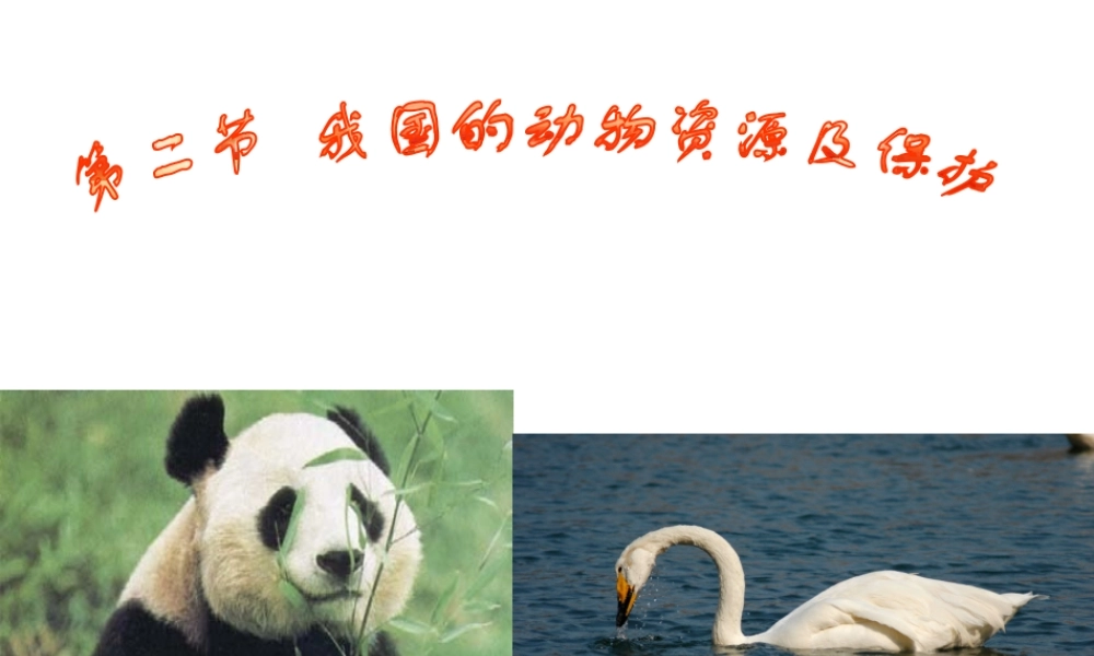 八年级生物上册 第十七章 第二节 我国的动物资源及保护课件1 北师大版