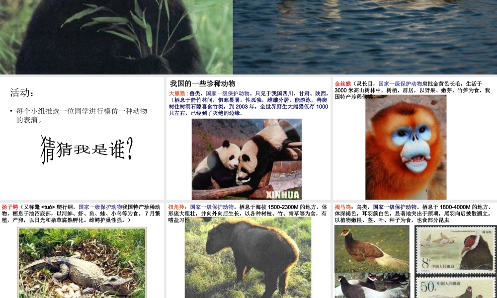 八年级生物上册 第十七章 第二节 我国的动物资源及保护课件1 北师大版