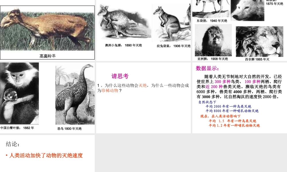 八年级生物上册 第十七章 第二节 我国的动物资源及保护课件1 北师大版