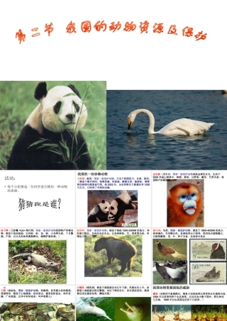 八年级生物上册 第十七章 第二节 我国的动物资源及保护课件1 北师大版