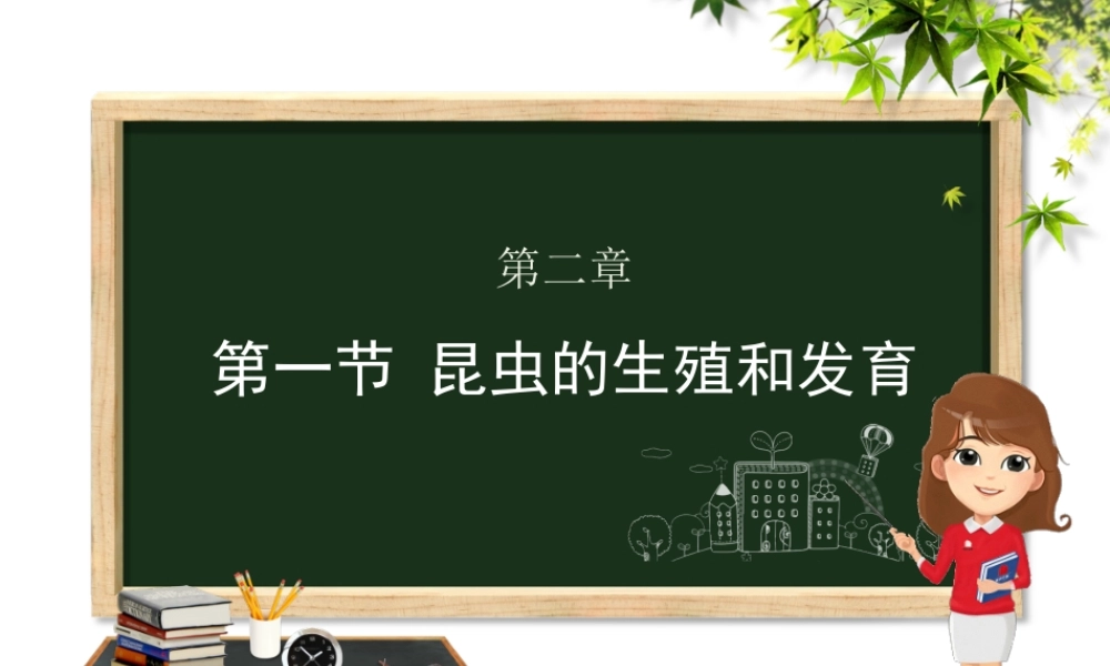 八年级生物上册 第四单元 物种的延续 第二章 动物的生殖和发育 第一节 昆虫的生殖和发育课件（新版）济南版-（新版）济南版初中八年级上册生物课件