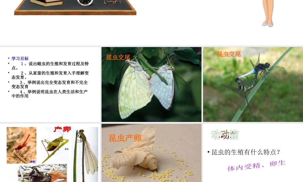 八年级生物上册 第四单元 物种的延续 第二章 动物的生殖和发育 第一节 昆虫的生殖和发育课件（新版）济南版-（新版）济南版初中八年级上册生物课件