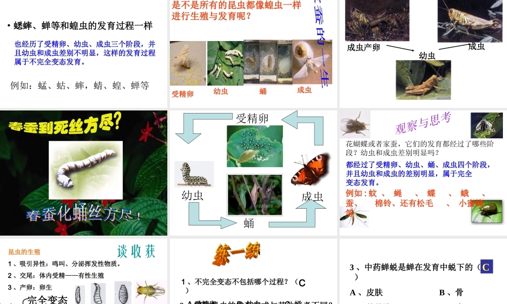 八年级生物上册 第四单元 物种的延续 第二章 动物的生殖和发育 第一节 昆虫的生殖和发育课件（新版）济南版-（新版）济南版初中八年级上册生物课件
