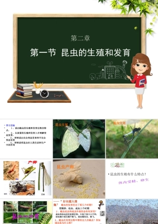 八年级生物上册 第四单元 物种的延续 第二章 动物的生殖和发育 第一节 昆虫的生殖和发育课件（新版）济南版-（新版）济南版初中八年级上册生物课件