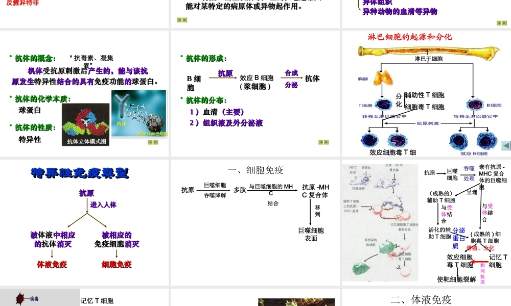 八年级生物上册《免疫》课件1 苏教版