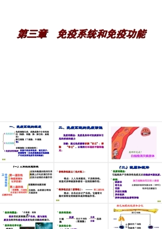 八年级生物上册《免疫》课件1 苏教版