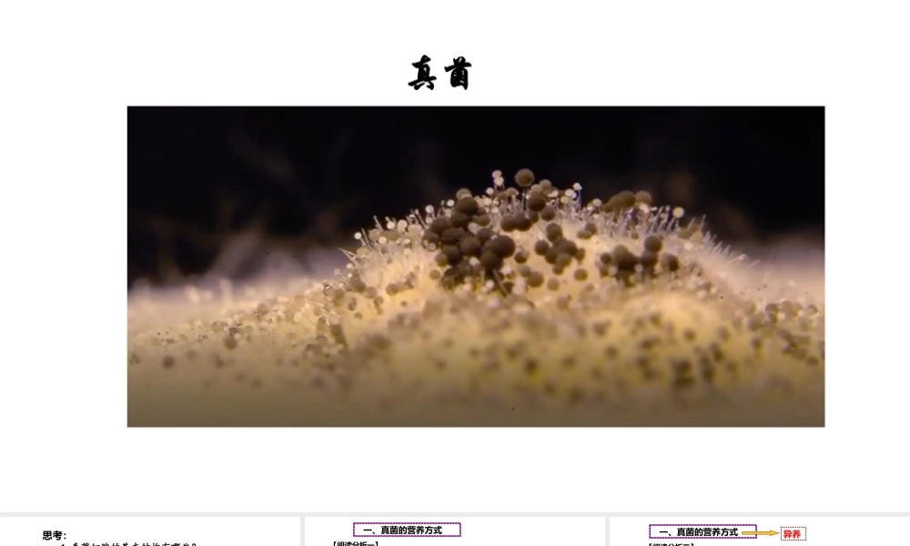 八年级生物上册 第五单元 第四章 第三节《真菌》第2课时课件 （新版）新人教版