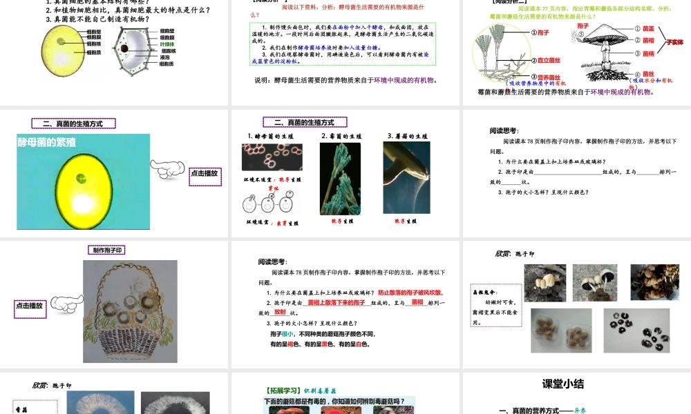 八年级生物上册 第五单元 第四章 第三节《真菌》第2课时课件 （新版）新人教版