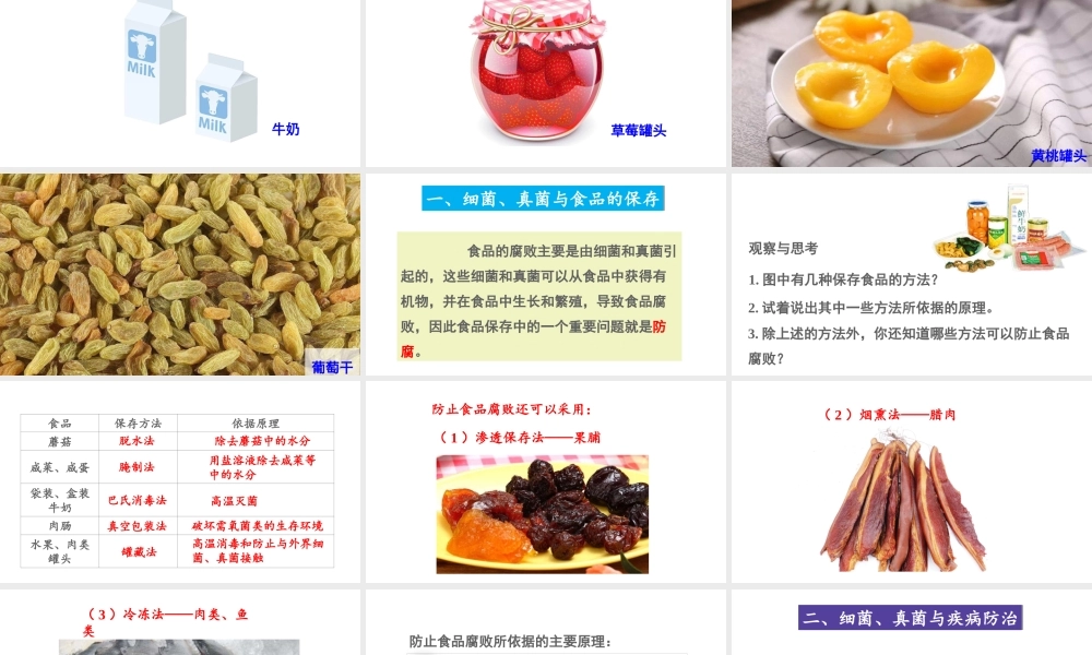 八年级生物上册 第五单元 第四章 第五节 人类对细菌和真菌的利用第2课时 食品保存、疾病防治和环境保护课件 （新版）新人教版-（新版）新人教版初中八年级上册生物课件