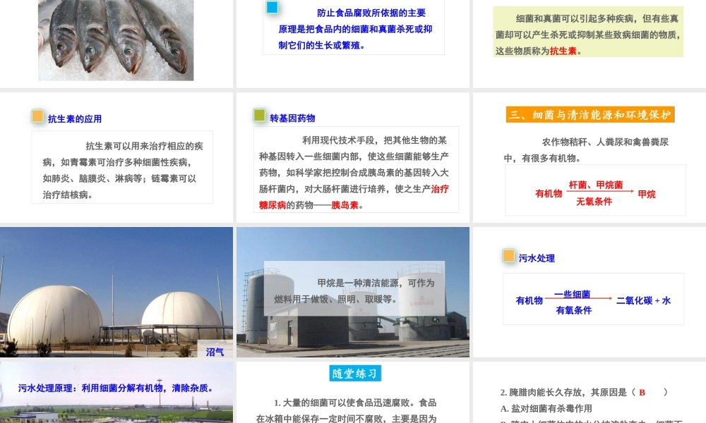 八年级生物上册 第五单元 第四章 第五节 人类对细菌和真菌的利用第2课时 食品保存、疾病防治和环境保护课件 （新版）新人教版-（新版）新人教版初中八年级上册生物课件