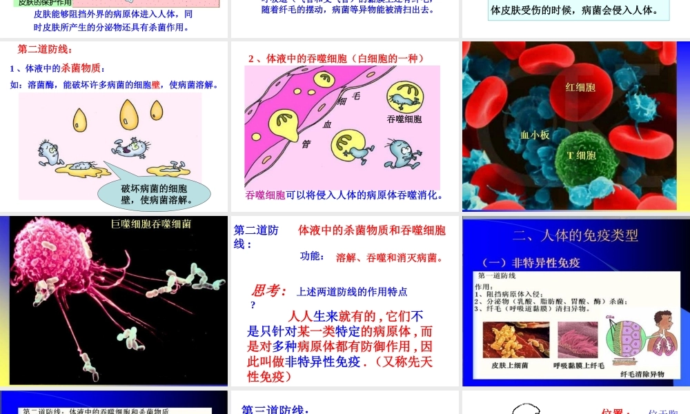 八年级生物上册《免疫》课件2 苏教版