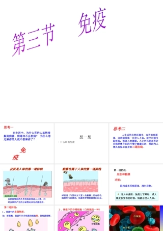 八年级生物上册《免疫》课件2 苏教版